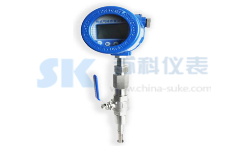 插入式熱式氣體質量流量計圖示